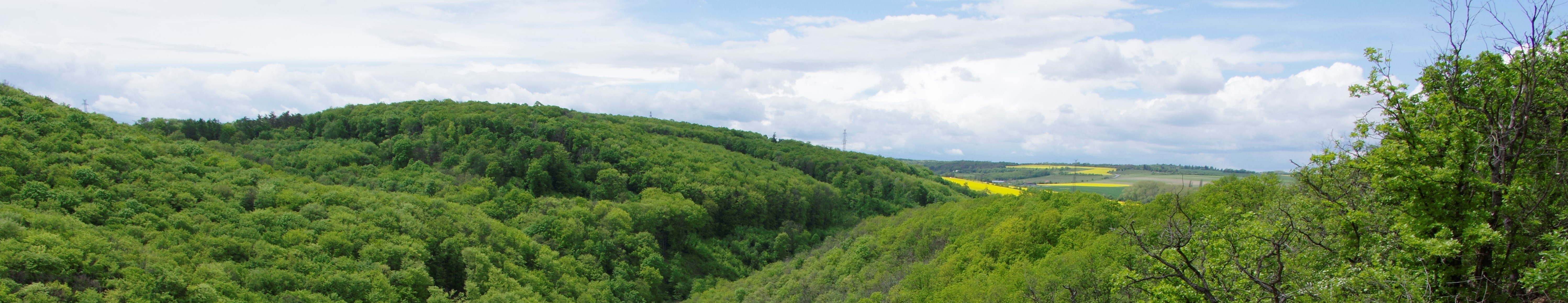 Laboratoř prostorové ekologie a ochrany přírody